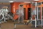 Anytime Fitness--Vestavia Hills