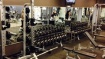 Anytime Fitness--McCalla