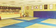 U.S. Taekwondo Academy