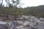 Moss Rock Preserve