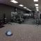 Anytime Fitness--Chelsea